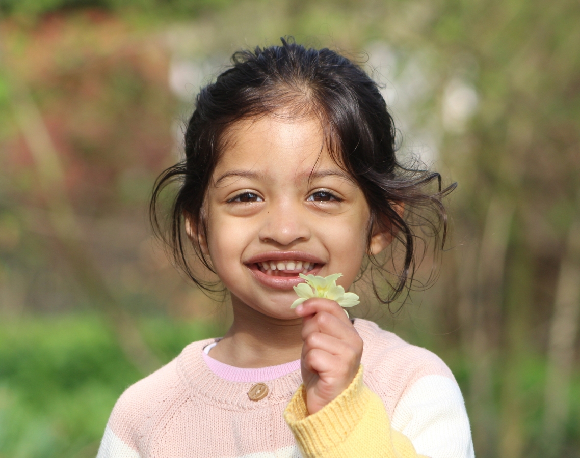 Smile of a Primrose - Jay Patilaries